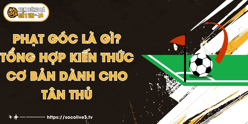 Phạt Góc Là Gì? Tổng Hợp Kiến Thức Cơ Bản Dành Cho Tân Thủ 1 Phạt Góc Là Gì? Tổng Hợp Kiến Thức Cơ Bản Dành Cho Tân Thủ