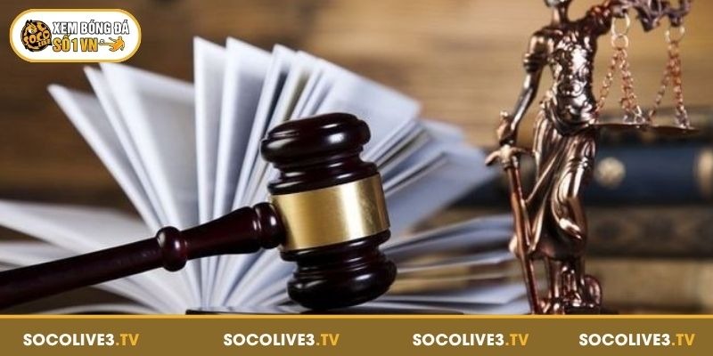 Bản Quyền Socolive 1 Tổng quan về bản quyền Socolive